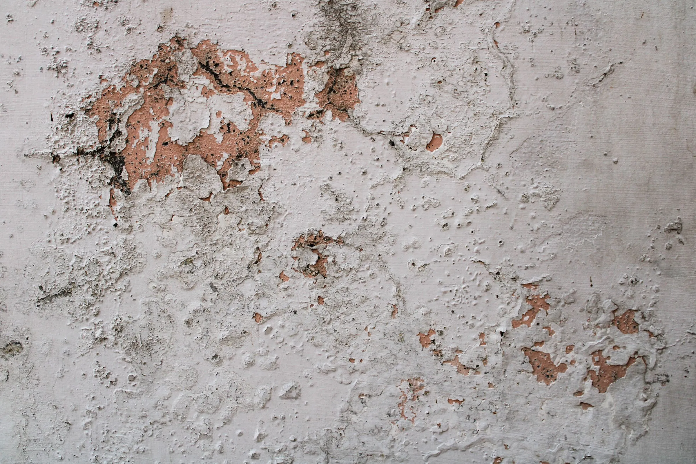 Muro con manchas de humedad y salitre en la base